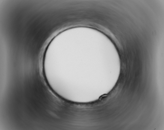 X0000086931512200705141732