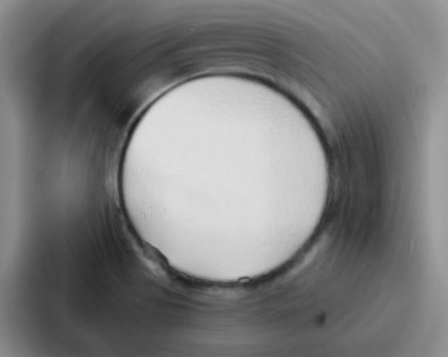 X0000086931513200705141732