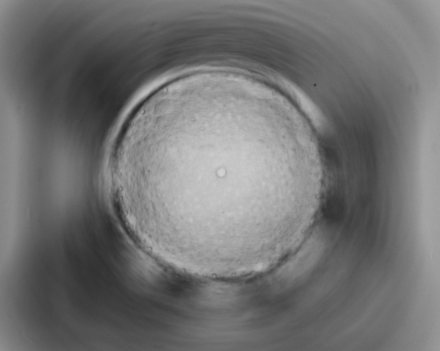 X0000086931514200705141732