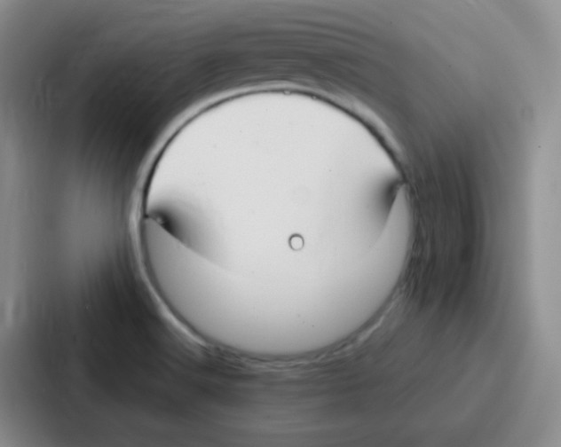 X0000086931516200705141732