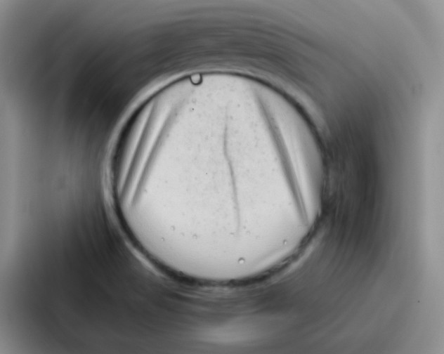 X0000086931517200705141732