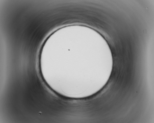 X0000086931518200705141732