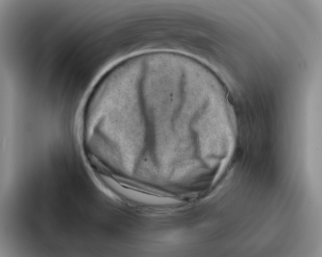 X0000086931519200705141732