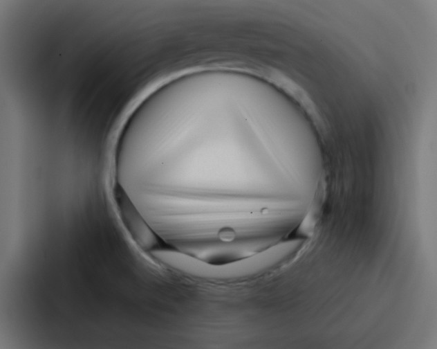 X0000086931520200705141732