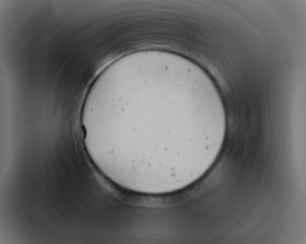 X0000086931521200705141732