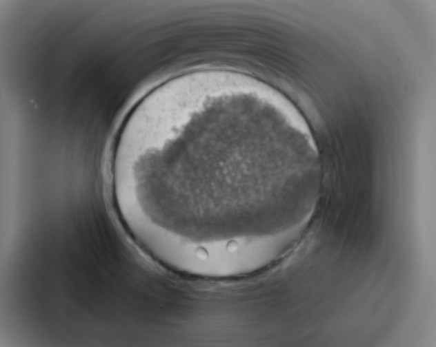 X0000086931522200705141732