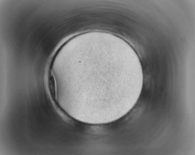 X0000086931523200705141732