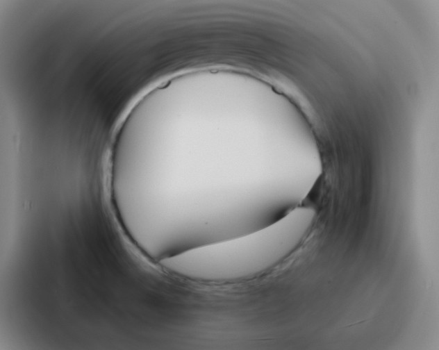 X0000086931524200705141732