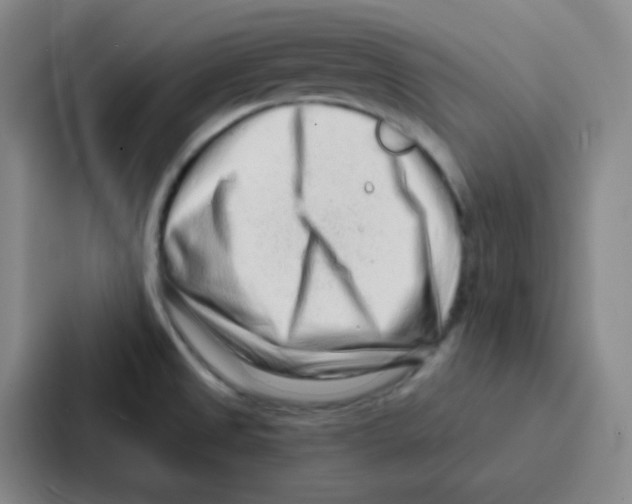 X0000086931525200705141732