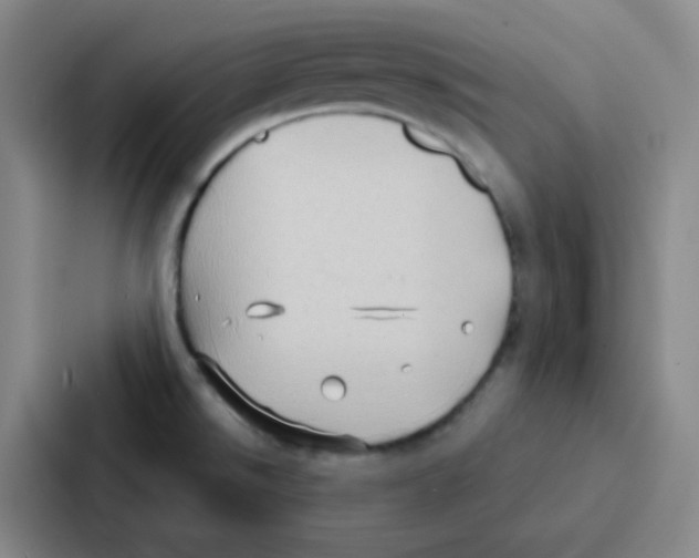 X0000086931526200705141732