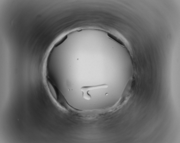 X0000086931528200705141732