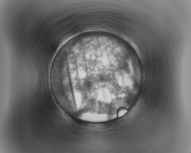 X0000086931529200705141732