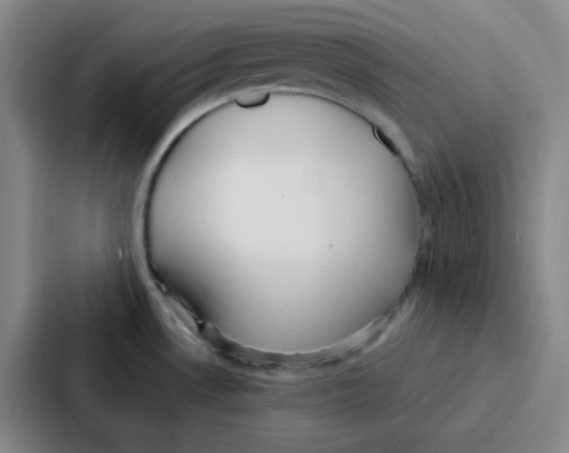 X0000086931530200705141732