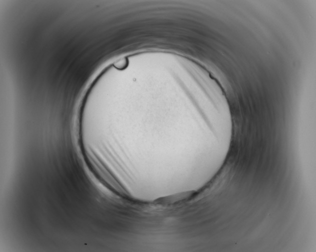 X0000086931531200705141732