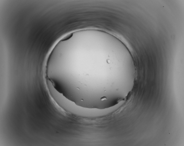 X0000086931532200705141732