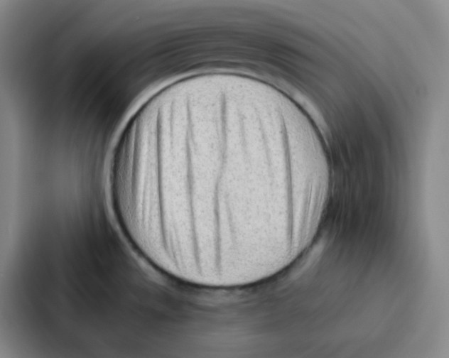 X0000086931533200705141732