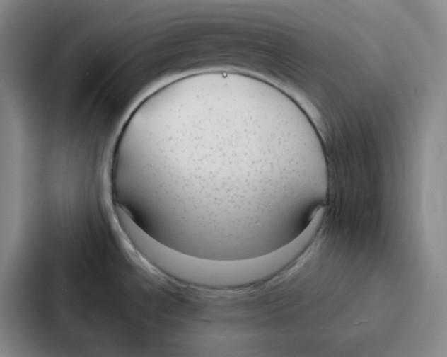 X0000086931534200705141732