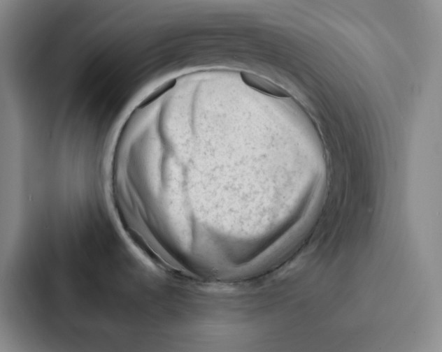 X0000086931536200705141732