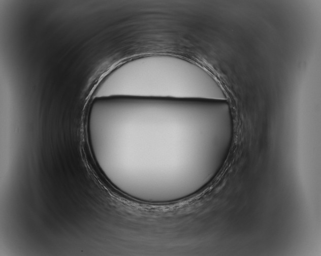 X0000086940002200704161045