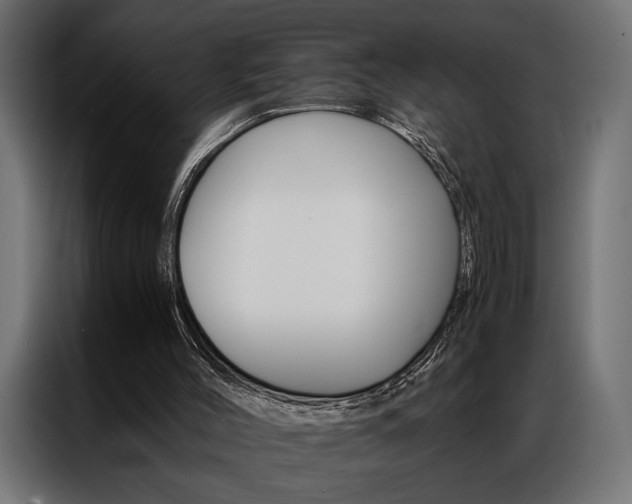 X0000086940004200704161045