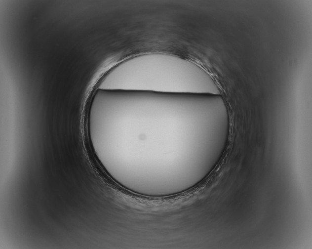 X0000086940006200704161045