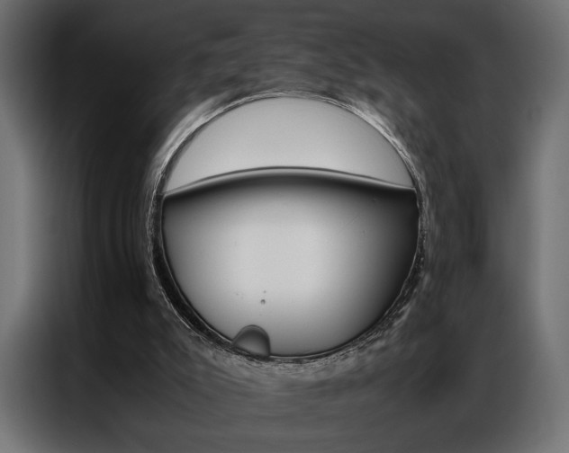 X0000086940007200704161045