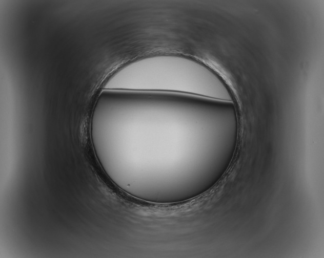 X0000086940009200704161045