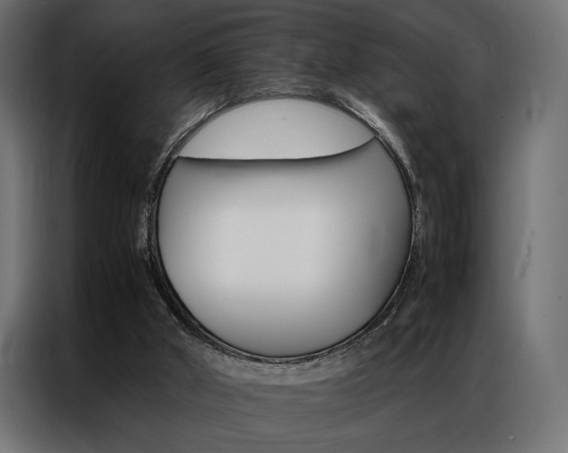 X0000086940010200704161045