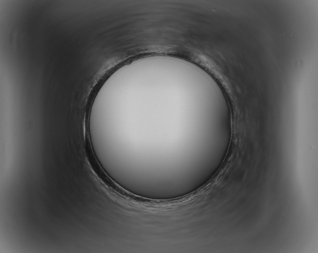 X0000086940011200704161045