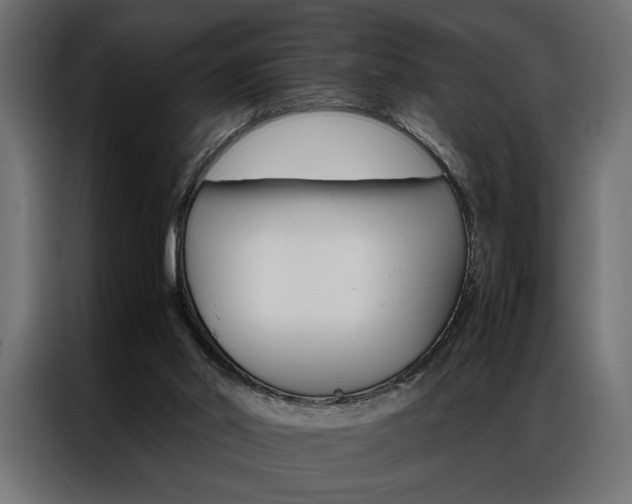 X0000086940014200704161045