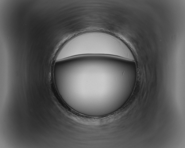 X0000086940015200704161045