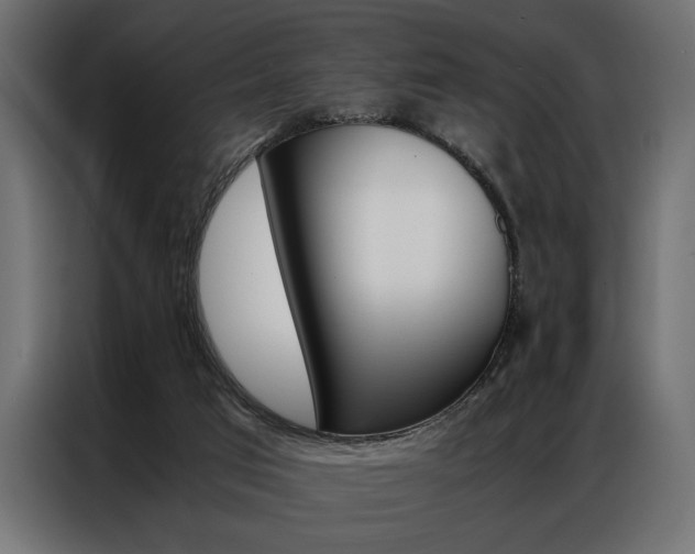 X0000086940017200704161045