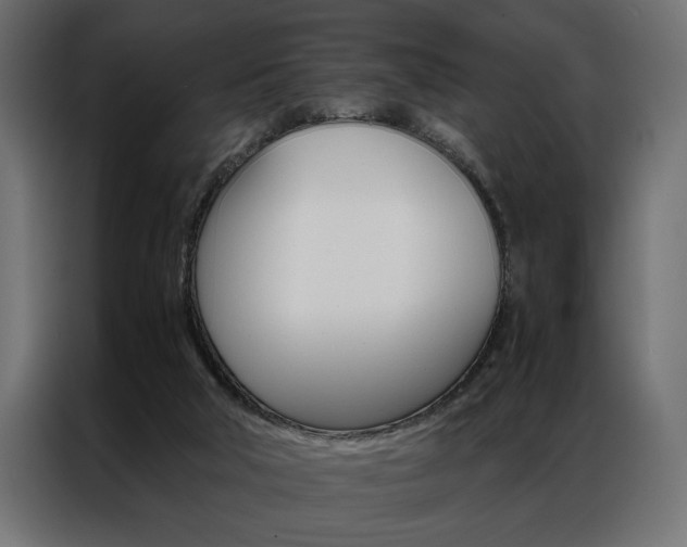 X0000086940018200704161045