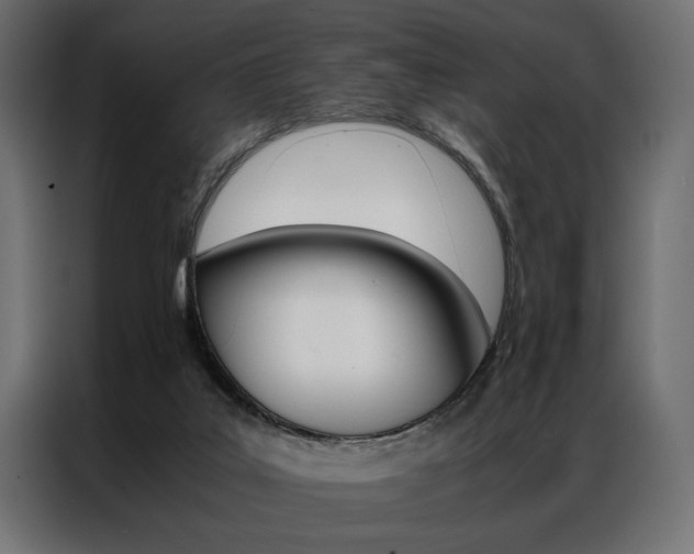 X0000086940019200704161045
