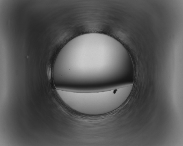 X0000086940021200704161045