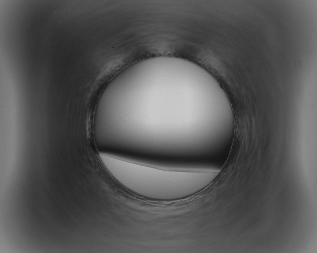 X0000086940023200704161045
