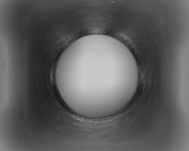X0000086940026200704161045