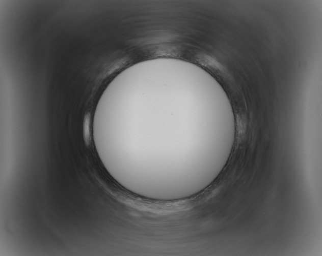 X0000086940028200704161045