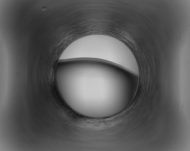 X0000086940029200704161045