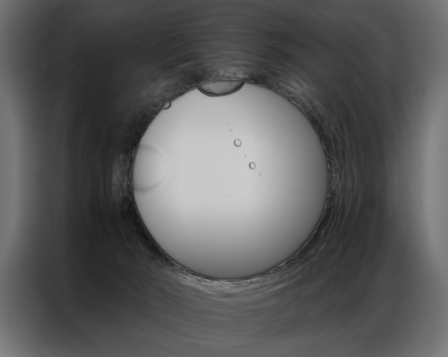 X0000086940030200704161045