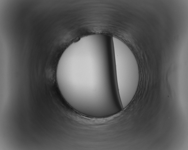X0000086940031200704161045