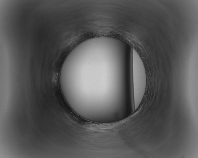 X0000086940033200704161045