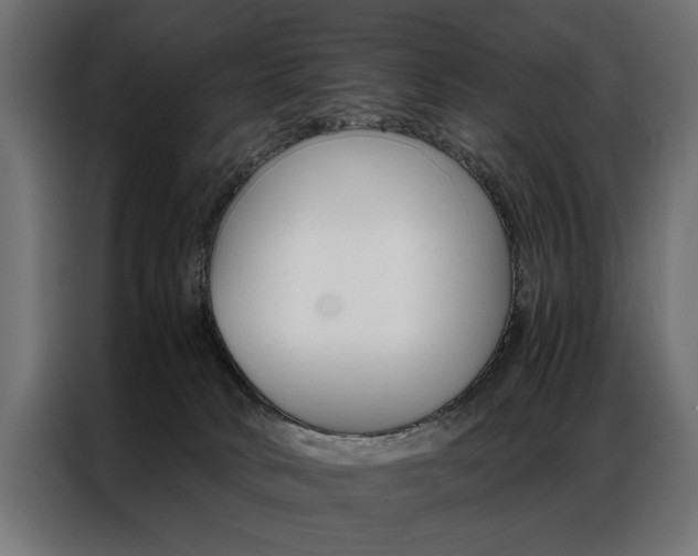 X0000086940034200704161045