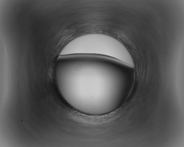 X0000086940035200704161045