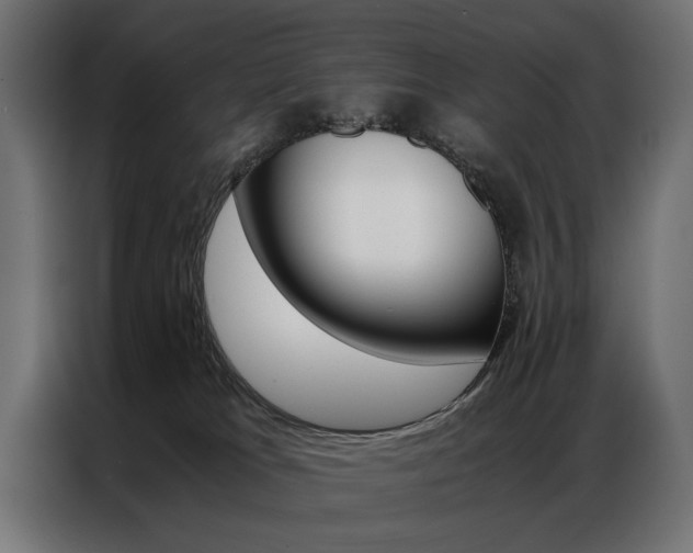 X0000086940037200704161045