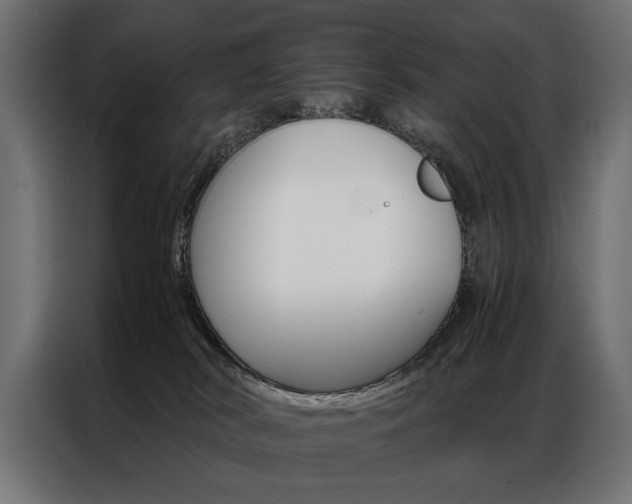 X0000086940038200704161045