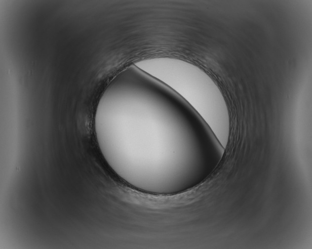 X0000086940039200704161045