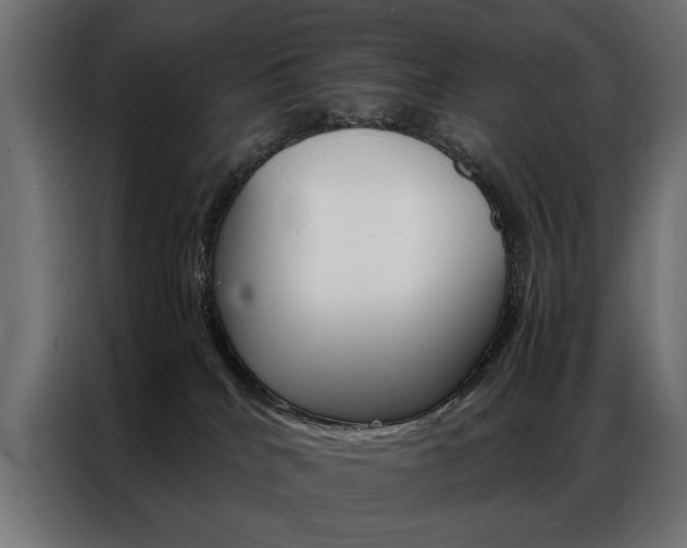 X0000086940040200704161045