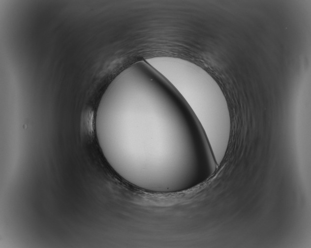 X0000086940041200704161045