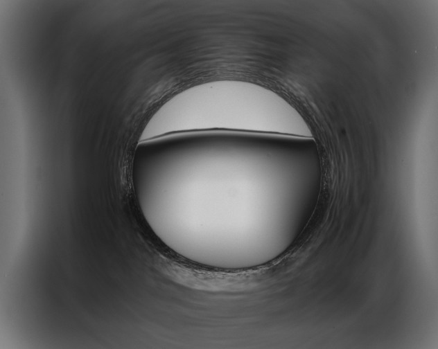 X0000086940044200704161044